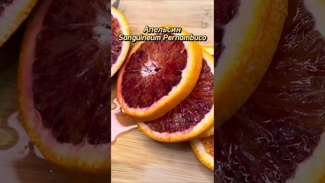 Дегустация апельсина Sanguineum Pernambuco | Цитрус Микс | #цитрусовые #комнатныерастения #апельсин