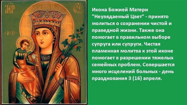 Все Псалмы Давидовы. Хор братии Валаамского монастыря