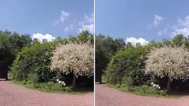 Xiaomi yi Focus Fix Vs No Fix смотреть онлайн