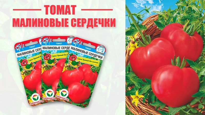 Томат "Малиновые Сердечки"