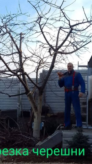 video_2024-12-17_19-44-48