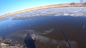 Ротан. Весна . Рыбалка на поплавок и боковой кивок .