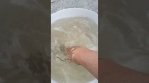 Дачный дневник. 2.06.2024г. Опрыскивание смородины содой от тли.
