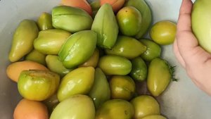 Солёные помидоры вашей мечты.Кук помидор тузлаш.👍🏼👍🏼👍🏼👍🏼