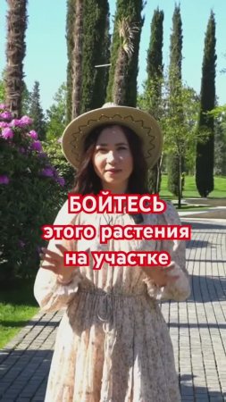 Самый «ВРЕДНЫЙ» агрессор на загородном участке