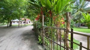 Остров черепах | Баликасаг | Филиппины 2023