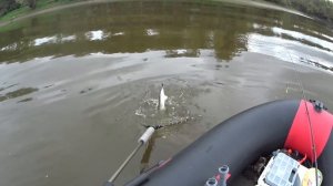 Крепление датчика эхолота (итог), и немного щуки