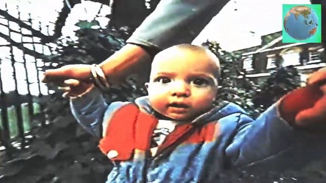 Это интересно японские гравюры,обучение космонавтов, нулевой меридиан,выставка кошек,пектид, смотреть онлайн