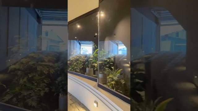 Функциональность и красота в одном флаконе!🌱