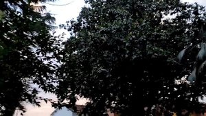 Парк- отель" Кавказ" Абхазия .Территория. Июнь 2024