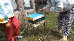 Очередной слёт нуклеуса