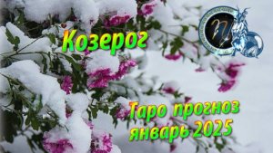 КОЗЕРОГ! Таро прогноз на январь 2025 года!