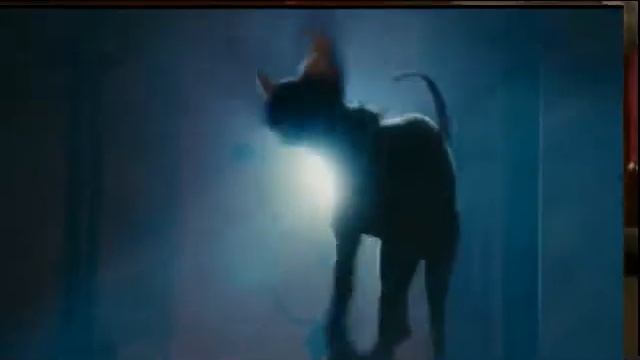 Кошки против собак ( Clip ) смотреть онлайн