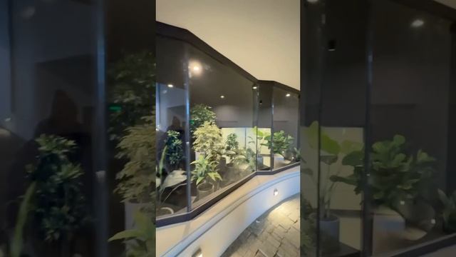 Создали стильную и функциональную зону встречи гостей с фитозоной.