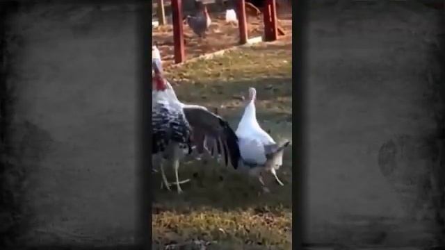 Warface Как надо правильно крутить джагернаута смотреть онлайн