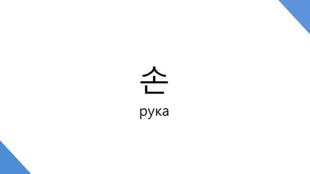 Корейский Словарик #003 -  신체2 (тело человека)
