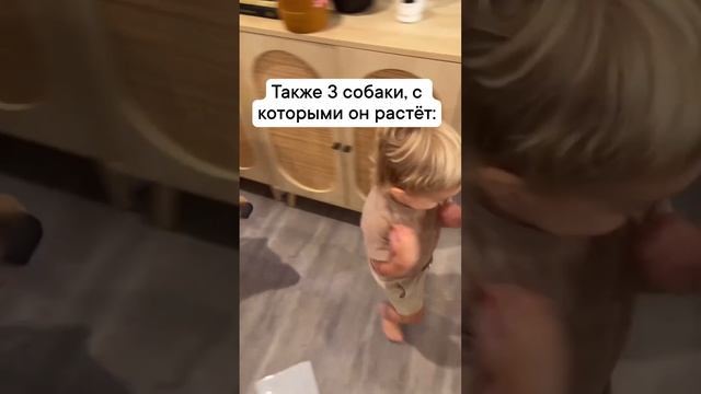 Попробуй догони