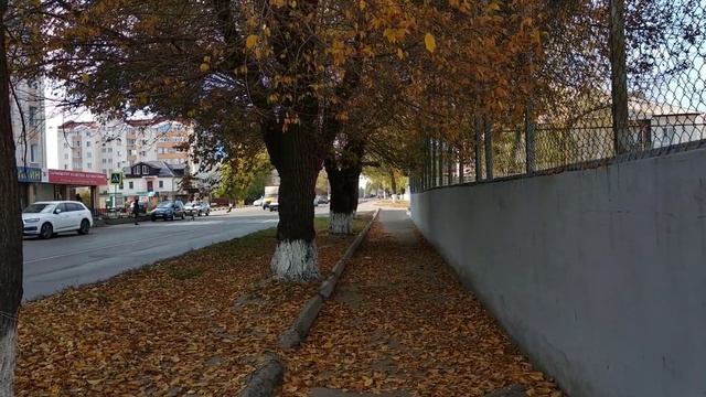 21 октября 2019. Прогулка по улице смотреть онлайн