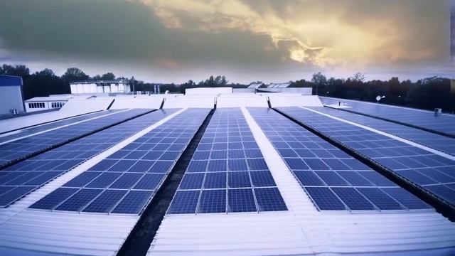 Mr Pet Corporate Video смотреть онлайн