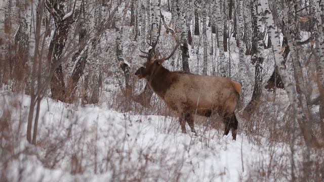 Случайная встреча