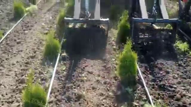 Культиватор для питомника смотреть онлайн