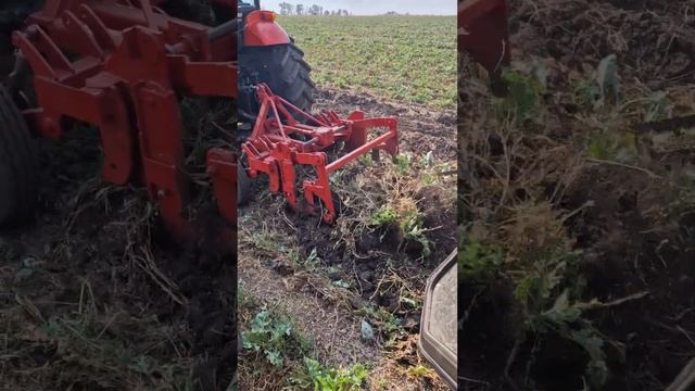 подкапыватель, Копалка хрена, корнеплодов смотреть онлайн