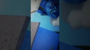 КОТИК ИГРОМАН И КОТЁНОК ЛАЙК И КОТЁНОК ВЕСНУШКА 💪😘🐱🐈🐈