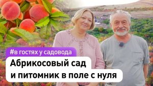 Абрикосовый сад и питомник саженцев в поле с нуля своими руками #СадовыйЭксперт #СадыМечты