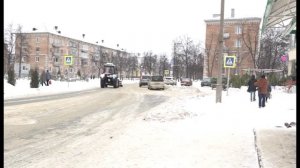 В Заречном некоторые «зоозащитники» мешают отлову бездомных собак