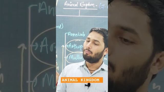 NEET ANIMAL KINGDOM #class10thboard #neet смотреть онлайн