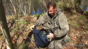 Как заготовить в пищу еловые семена?