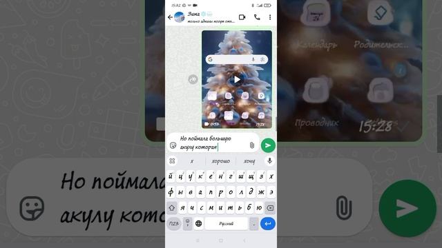 Screenrecorder-2024-12-26-15-28-45-571.mp4
