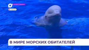 Воспитанники Центра содействия семейному устройству детей-сирот побывали в Приморском океанариуме