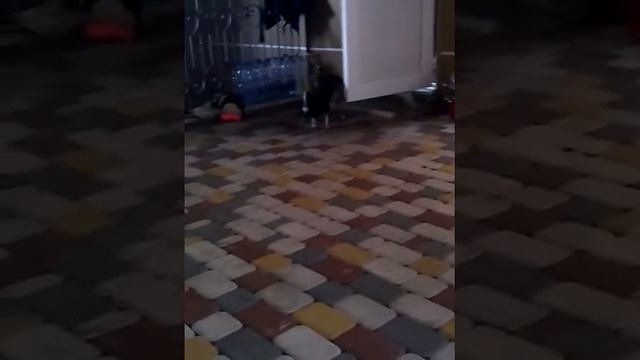 Любовь .и. Страсть смотреть онлайн