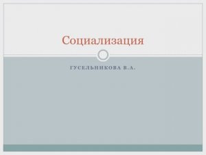 Социализация