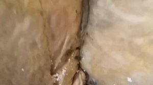 пенопластовые дом спустя 7 лет.