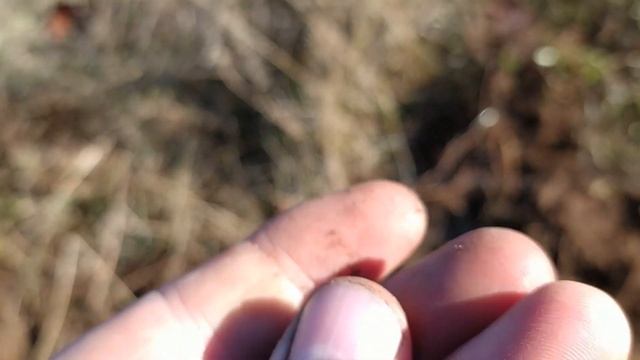 Рассыпуха чешуи Медный бунт и другие находки на древнем месте. смотреть онлайн