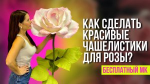 Как сделать красивые чашелистики для розы. Бесплатный мастер-класс