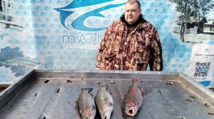 марлин первый лед. ловим форели на актив