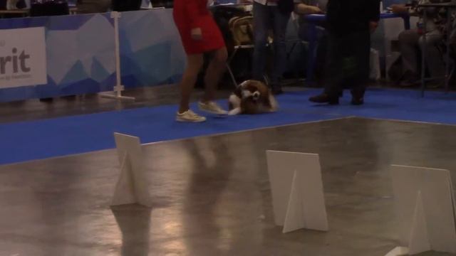 MVI 1194 смотреть онлайн