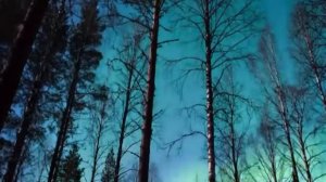 Футаж для видеомонтажа северное сияние лес