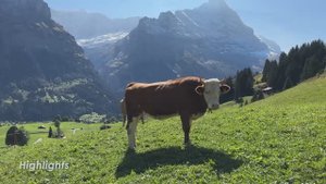 🇨🇭 Первый🚠 Гриндельвальд, Швейцария: Вершина приключений🪂🚵♀️/Самый живописный поход🥾😍 Sep. 2