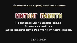 Митинг памяти. Наволоки 25.12.24