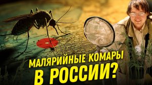 Малярийные комары в России? Мифы о кровососущих насекомых | Ученые против мифов 23-2