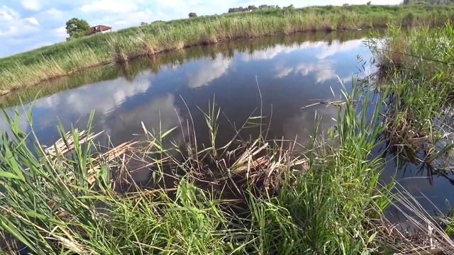 Рыбалка на окуня и карася . Меняем озеро на реку . Речка Тюкалка .