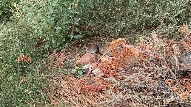 11.09.2022, катаемся на великах возле Горкинско Аметьевского парка