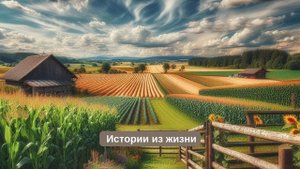 Мужчина ПОЗВАЛ ЗАМУЖ, но ПОСТАВИЛ УСЛОВИЕ... Жизненная история, аудио рассказ, случай из жизни