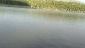 Ловля карпа