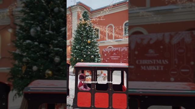 Где поймать новогоднее настроение в Петербурге? 🎄✨