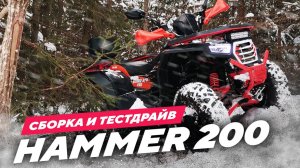 Сборка и тестдрайв КВАДРОЦИКЛА APAKANI HAMMER 200